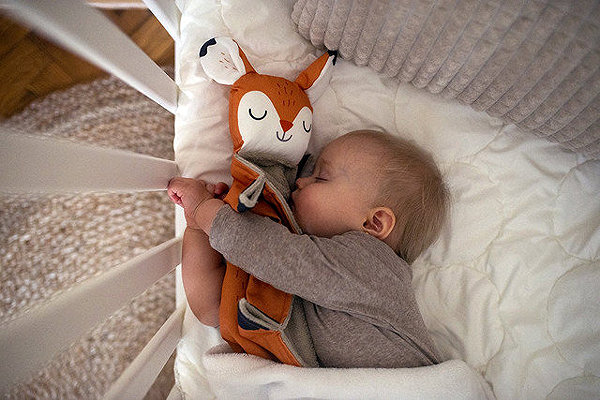 Sleepy Ababu Toadstool Fox .