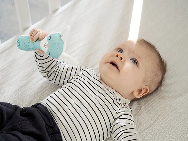 Ababu Rattle Rattles Bunny .