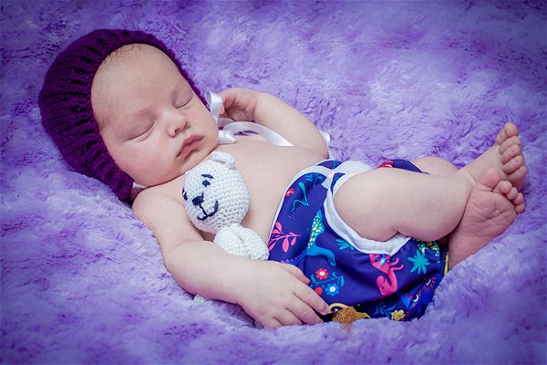 All in One Dinosaur Cloth Diaper Panties .