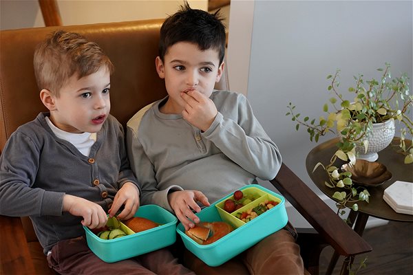 Snack Box Melii Bento Box snack box blue ...
