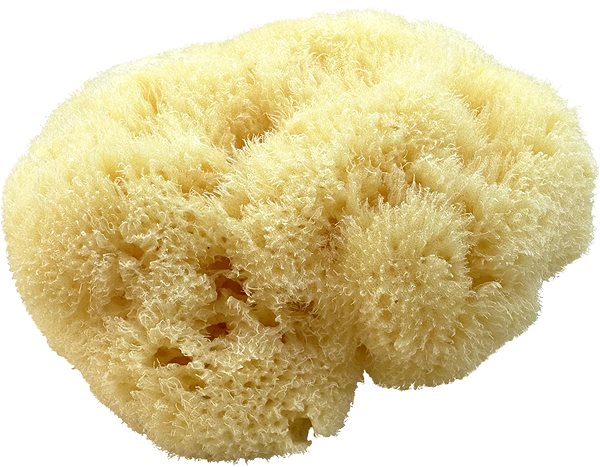 Špongia Hodvábna morská huba 10 – 12 cm ...