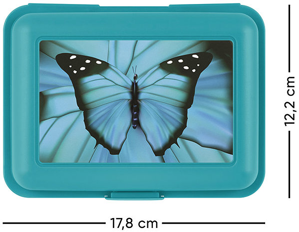 Lunch Box BAAGL Butterfly snack box ...
