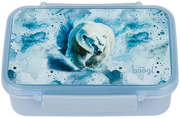 Lunch Box BAAGL Polar Lunch Box with Compartments ...