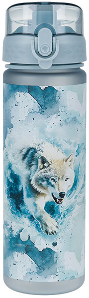 Trinkflasche BAAGL Tritan-Trinkflasche Polar, 500 ml ...