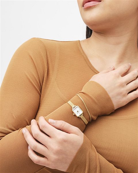 Daniel Wellington mesh bracelet Evergold DW00400676.