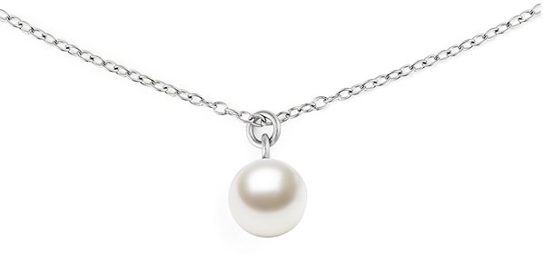 Daniel Wellington Steel Necklace DW00401957.