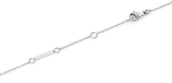 Daniel Wellington Steel Necklace DW00401957.