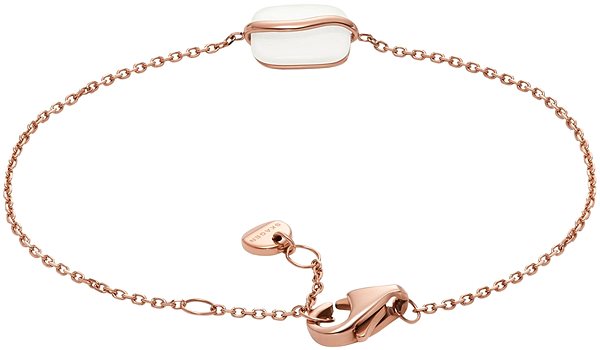 Skagen Women's Steel Bracelet SKJ1815791.