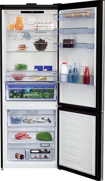 Refrigerator BEKO RCNE560E60ZGBHN Features/technology