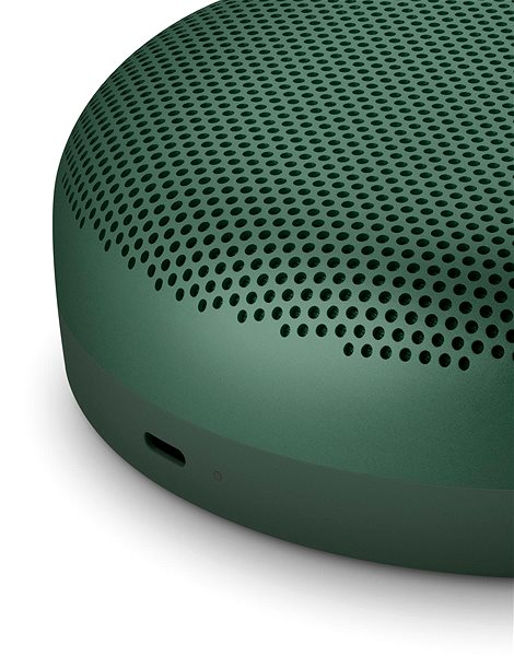 Bluetooth Speaker Bang & Olufsen Beosound A1 2nd Gen, Green Connectivity (ports)