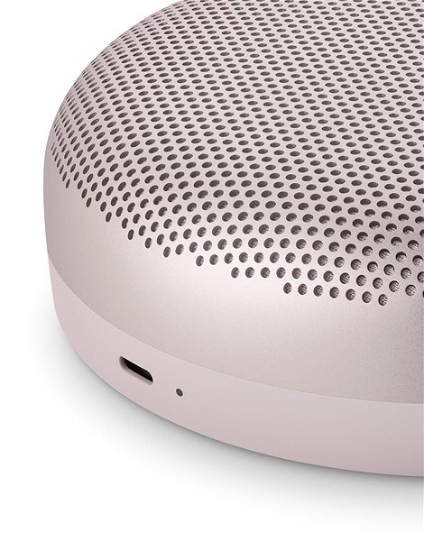 Bluetooth Speaker Bang & Olufsen Beosound A1 2nd Gen, Pink Connectivity (ports)