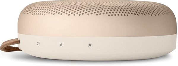 Bluetooth Speaker Bang & Olufsen Beosound A1 2nd Gen, Gold Tone Features/technology