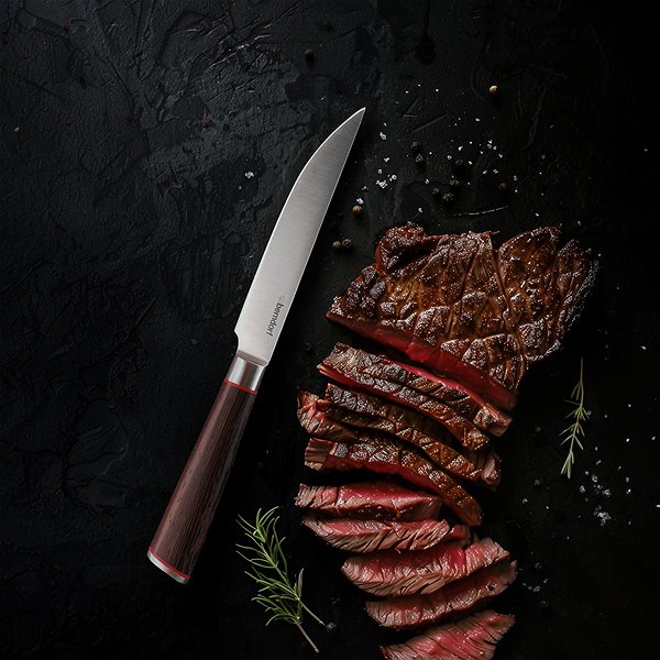 Sada nožů Berndorf CORDOBA Sada nožů na steak 4 ks ...