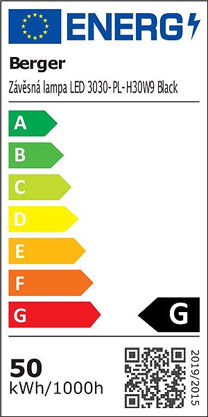 Ceiling light Berger LED pendant lamp 3030-PL-H30W9 Black Energy label