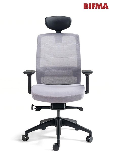 Office Chair BESTUHL
J17 grey with headrest ...