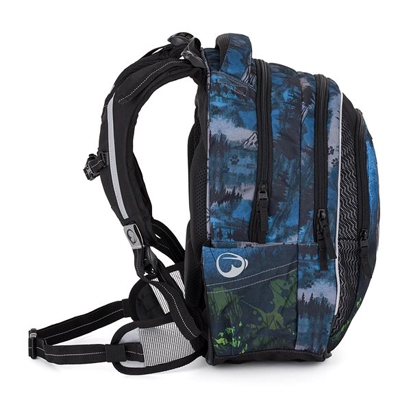 School backpack BAGMASTER LUMI 24 F school backpack - wolf .