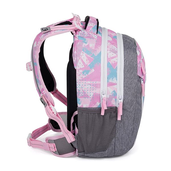School backpack BAGMASTER PORTO 24 B school backpack - pink-blue .