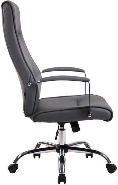 Office Chair BHM Germany Donna Grey Lateral view