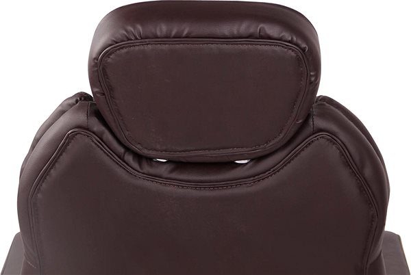 Office Chair BHM Germany Gerda Brown Features/technology