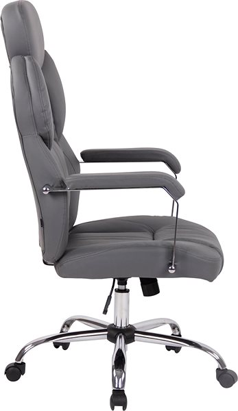 Office Chair BHM Germany Gerda Grey Lateral view