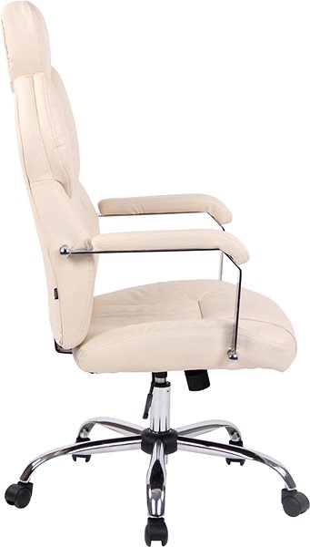 Office Chair BHM Germany Gylen Cream Lateral view
