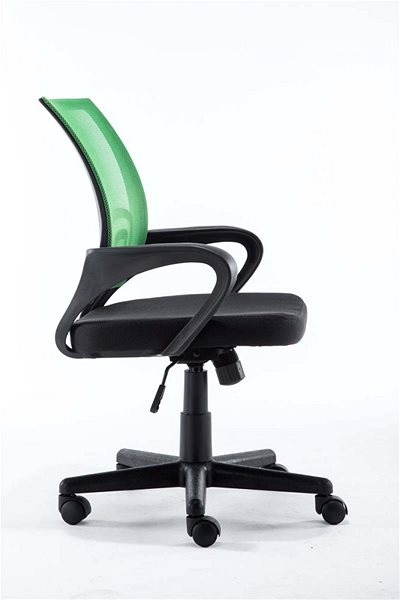Office Chair BHM Germany Hanna Black/Green Lateral view