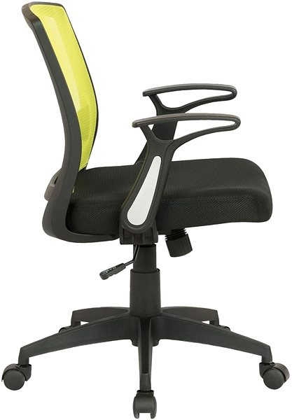Office Chair BHM Germany Irena Green Lateral view
