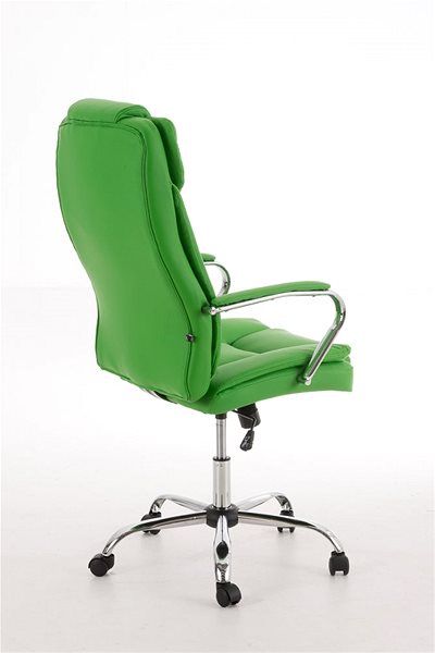 Kancelárska stolička BHM Germany Xantho zelená Zadná strana