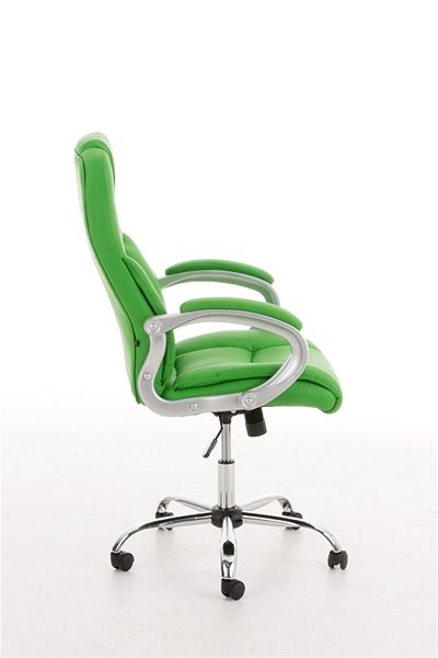 Office Armchair BHM Germany Barney II. Green Lateral view