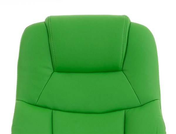 Office Armchair BHM Germany Barney II. Green Features/technology
