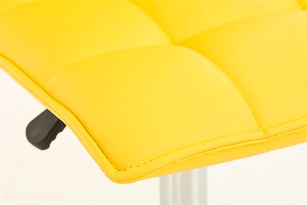 Office Chair BHM Germany Beijing, Yellow Features/technology