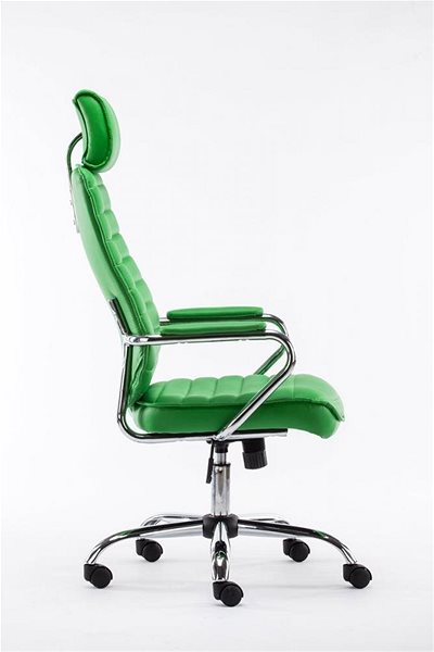 Office Armchair BHM Germany Rako, Green Lateral view