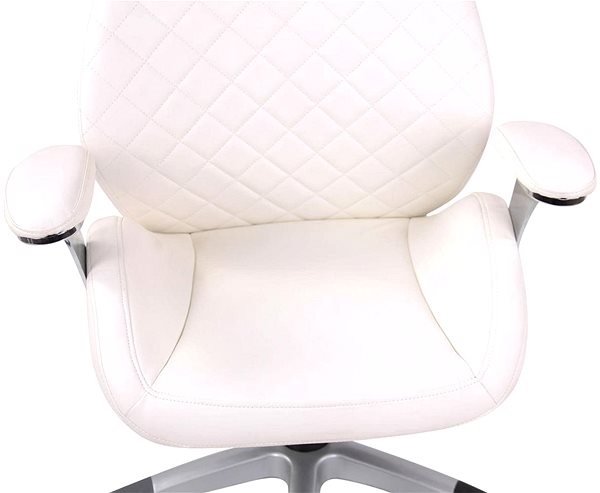 Irodai szék BHM GERMANY Layton, fehér Jellemzők/technológia
