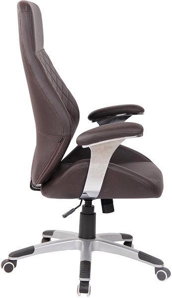 Office Chair BHM Germany Layton, Brown Lateral view