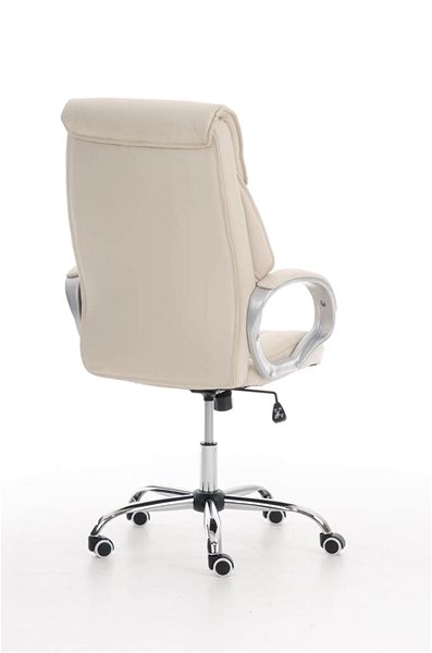 Office Chair BHM Germany Torro, Cream Back page