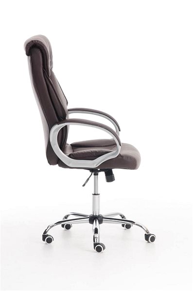 Office Chair BHM Germany Torro, Brown Lateral view
