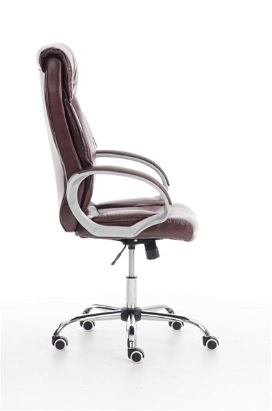 Office Chair BHM Germany Torro, Red-brown Lateral view
