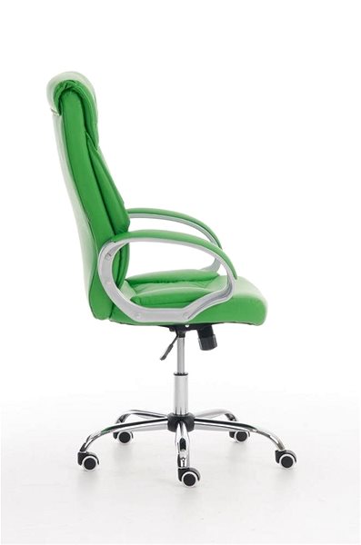 Office Chair BHM Germany Torro, Green Lateral view