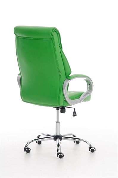 Office Chair BHM Germany Torro, Green Back page