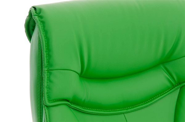 Office Chair BHM Germany Torro, Green Features/technology