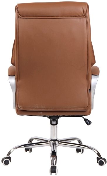 Office Chair BHM Germany Torro, Light Brown Back page