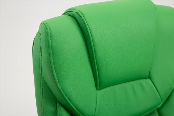Office Armchair BHM Germany Texas, Synthetic Leather, Green Features/technology