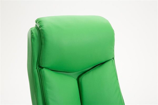 Office Armchair BHM Germany Vaud, Synthetic Leather, Green Features/technology