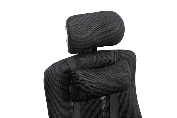 Office Armchair BHM Germany Alexa, Black Features/technology