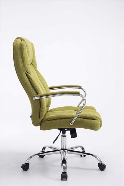Office Armchair BHM Germany Xanthos, Green Lateral view