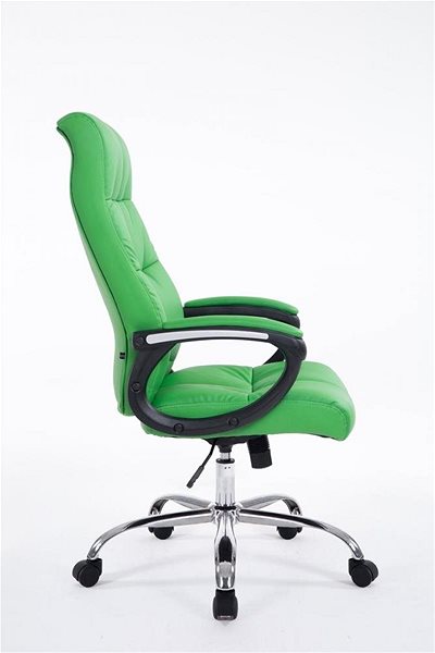 Office Armchair BHM Germany Poseidon, Green Lateral view