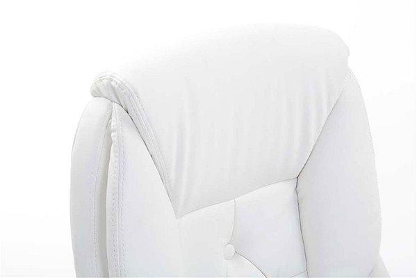 Office Armchair BHM Germany Rodeo, White Features/technology