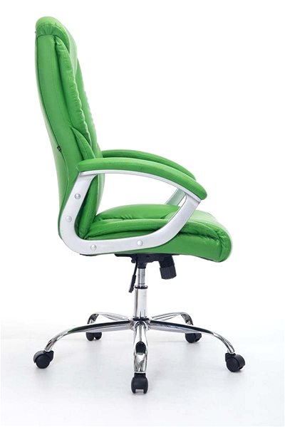 Office Armchair BHM Germany Rodeo, Green Lateral view