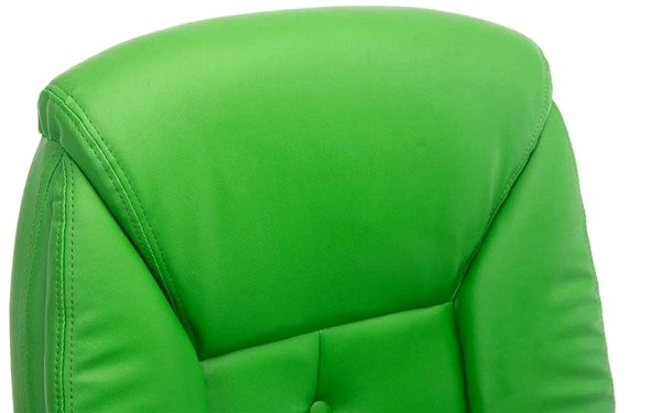 Office Armchair BHM Germany Rodeo, Green Features/technology