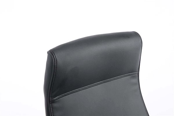 Office Chair BHM Germany Lausanne, Black Features/technology